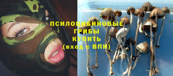 ешки Белоозёрский